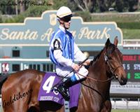 Goldikova