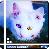 Moon Sonate'