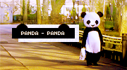 panda