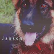 Janson