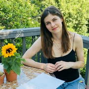 ������ ��������