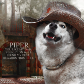 Piper