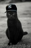 BlackyCat