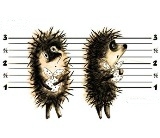 ����� ������