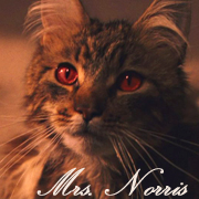 Mrs. Norris