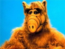 Alf