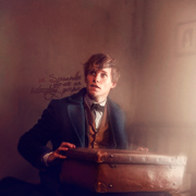 Newt Scamander