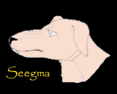 Seegma