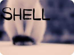 Shell