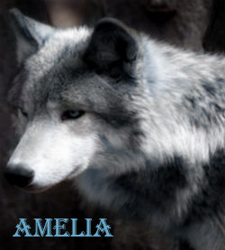 Amelia