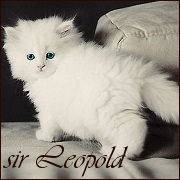 Leopold