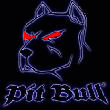 Pit_Bull