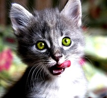 �������