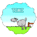 TIMI