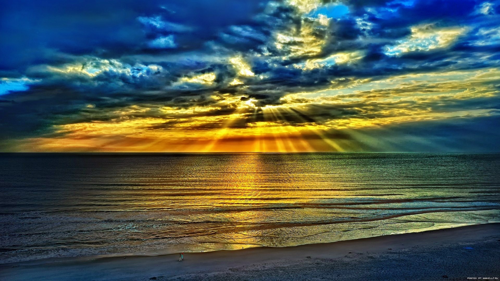 ������ S.