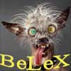 BeLeXXX