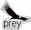 pRey36