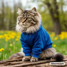 ���������� ���