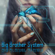 Big Brother System