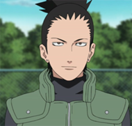 Nara Shikamaru [x]