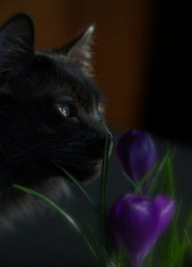 �������