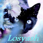 Losyash