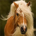 ���������� ������