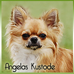 Angelas Kustode