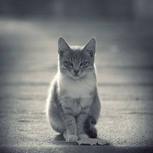 ����������� ������