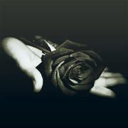 Black Rose