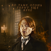 Bill Weasley