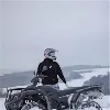MNikol