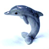 SilverDolphin