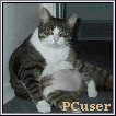 PCuser