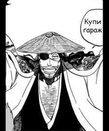 Kyoraku Shunsui