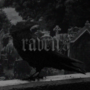 ravens