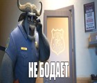 Chief Bogo