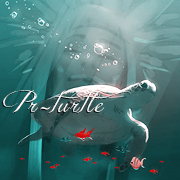 PR-turtle