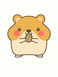 Hamster