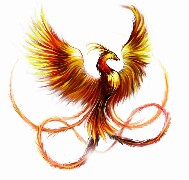 The Phoenix