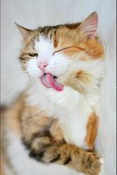 �������������