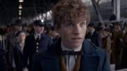 Newt Scamander