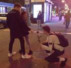 �������������