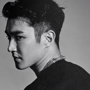 Choi Siwon