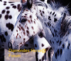 Tefi