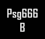 psg666b