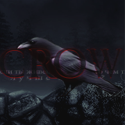 crow