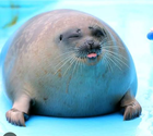 ������