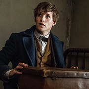 Newt Scamander