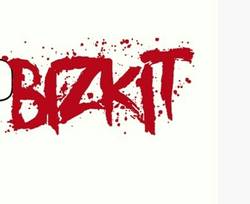 Bizkit